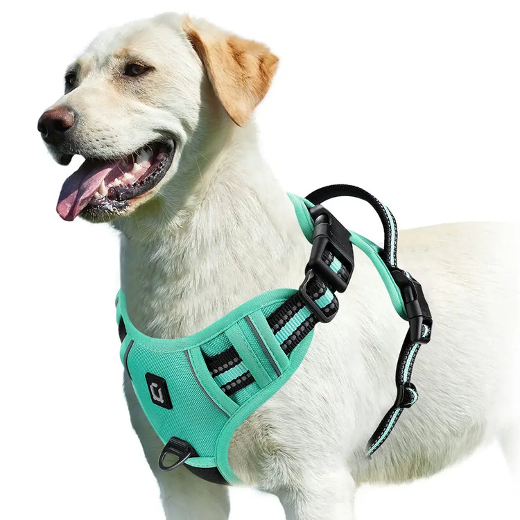 Harnais pour chien rembourré réglable - green / S