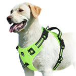 Harnais pour chien rembourré réglable - light green / M