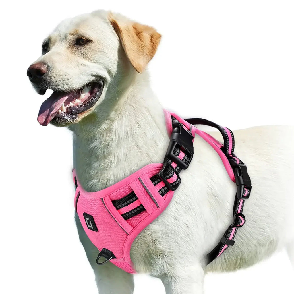 Harnais pour chien rembourré réglable - Pink / L