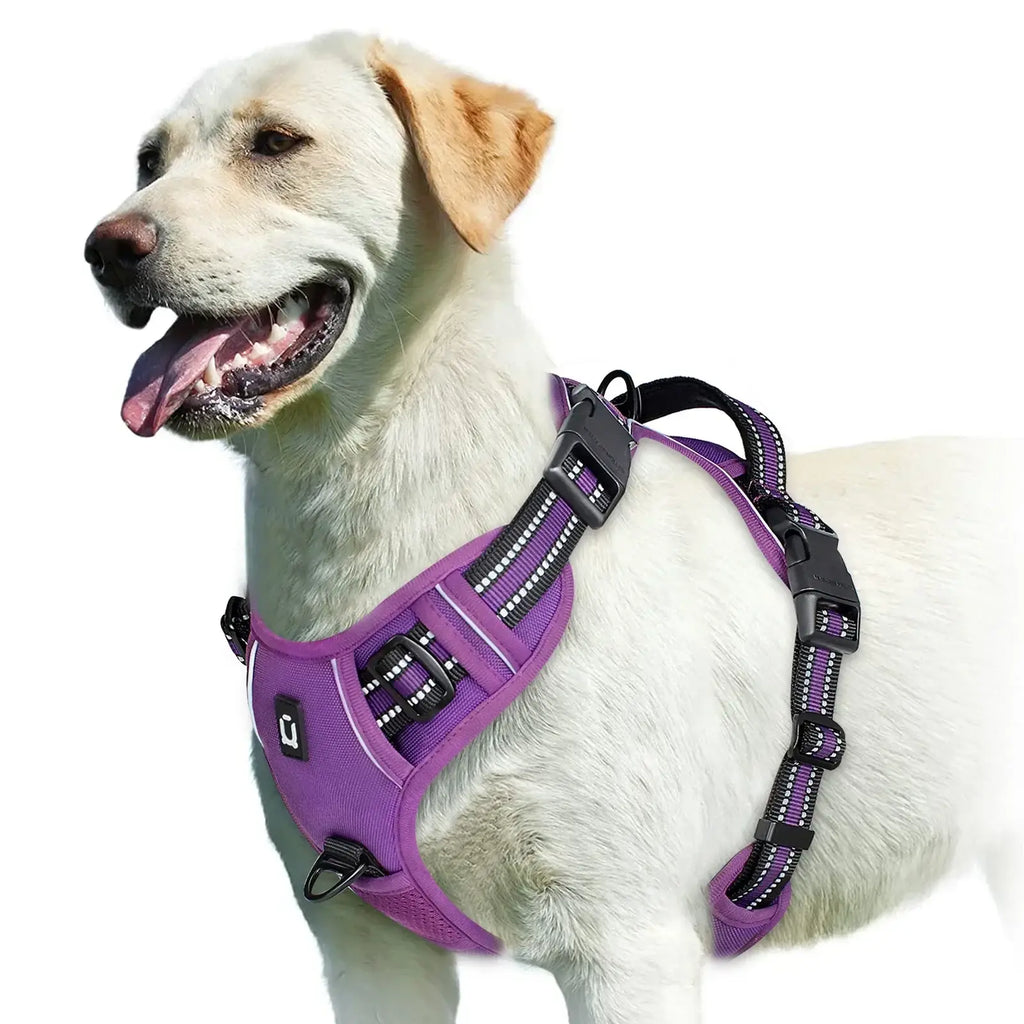 Harnais pour chien rembourré réglable - PURPLE / S