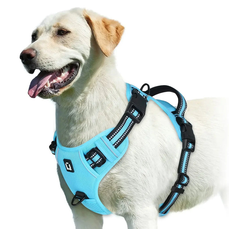 Harnais pour chien rembourré réglable - SKY BLUE / XL