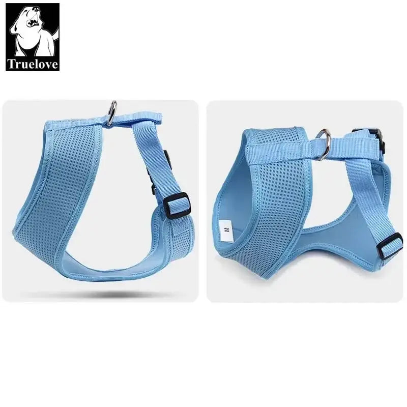 Harnais pour chiot et chien