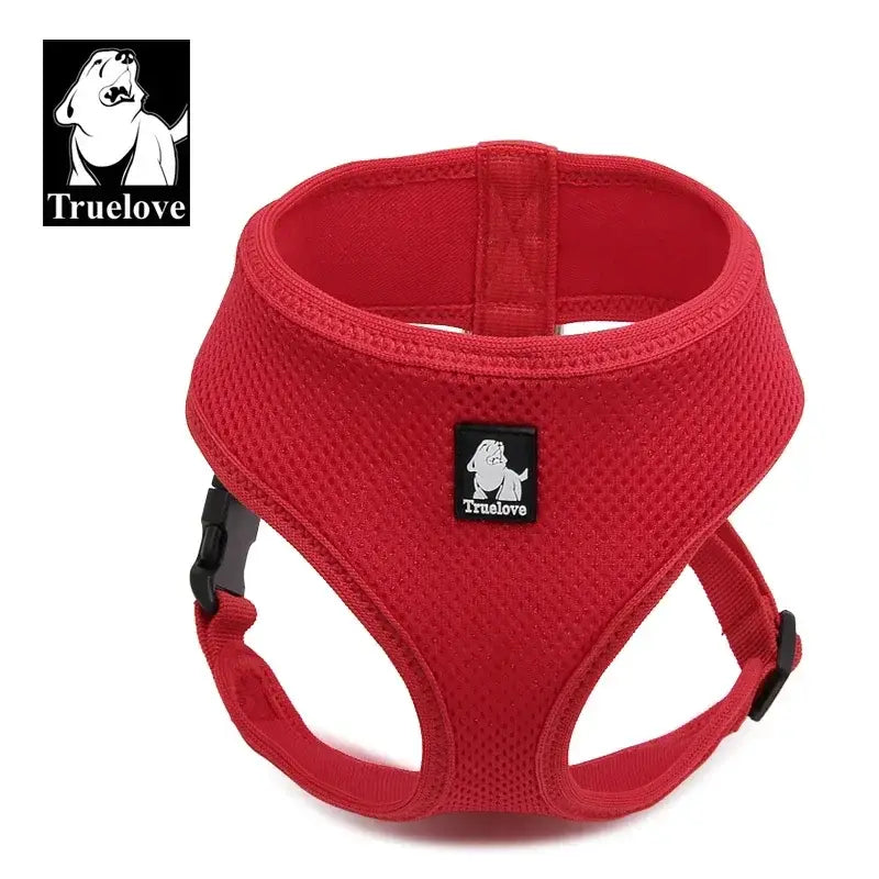 Harnais pour chiot et chien