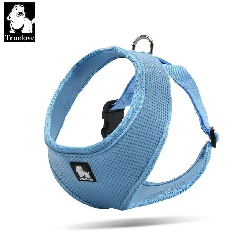 Harnais pour chiot et chien