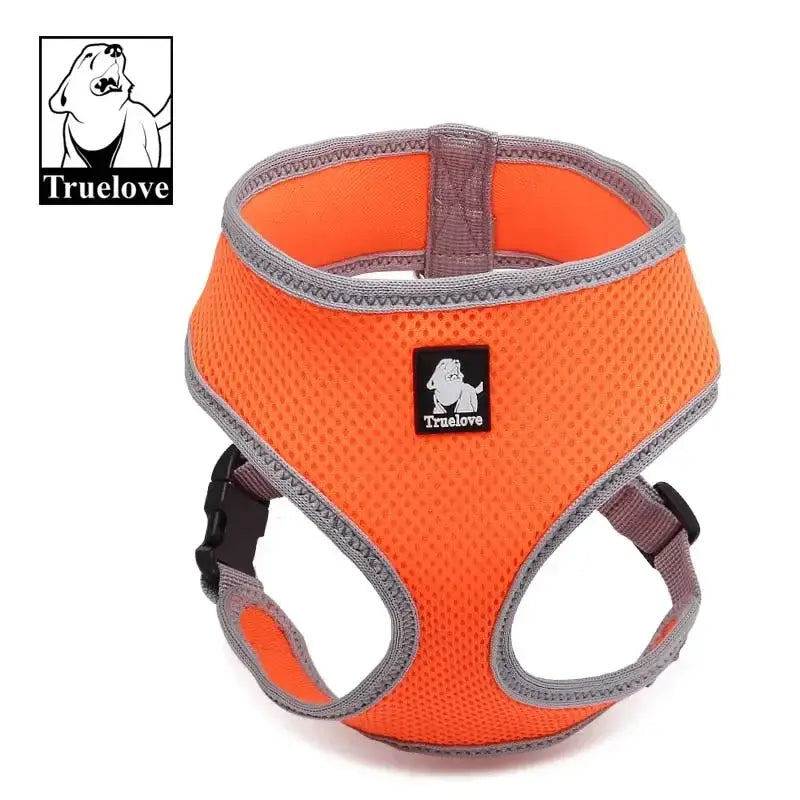 Harnais pour chiot et chien - orange / XS / spain