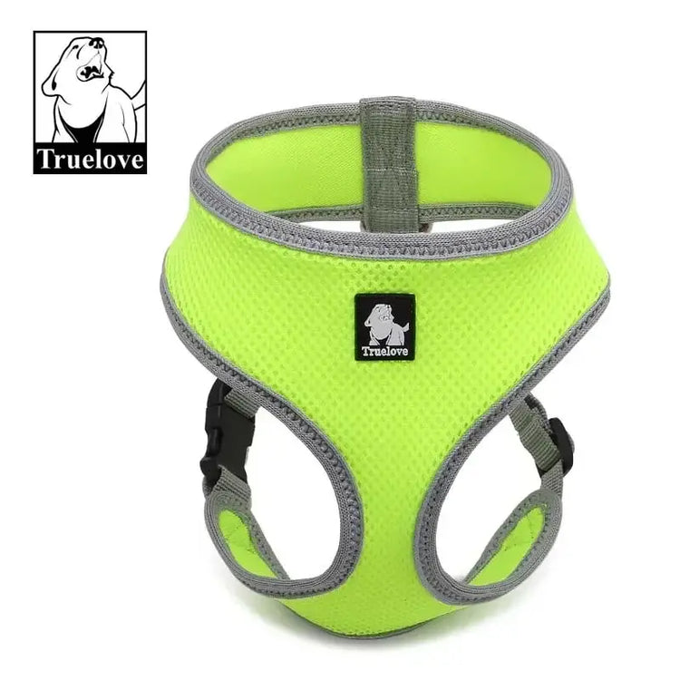 Harnais pour chiot et chien - yellow / XS / Russian Federation