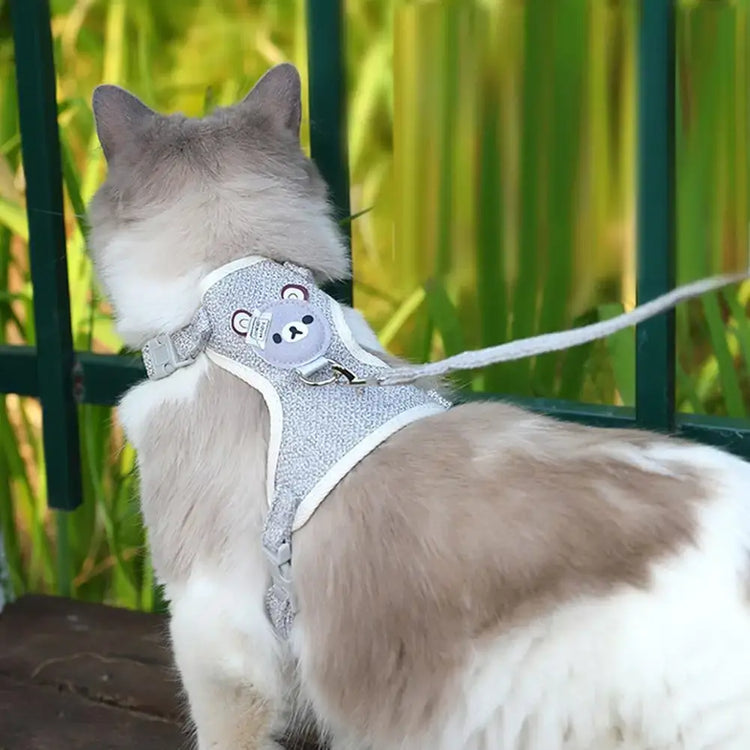 Harnais pour petits animaux