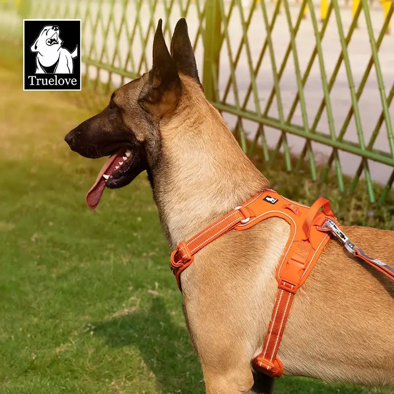 Harnais réfléchissant anti-traction pour chien