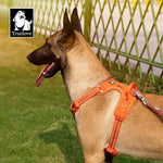 Harnais réfléchissant anti-traction pour chien