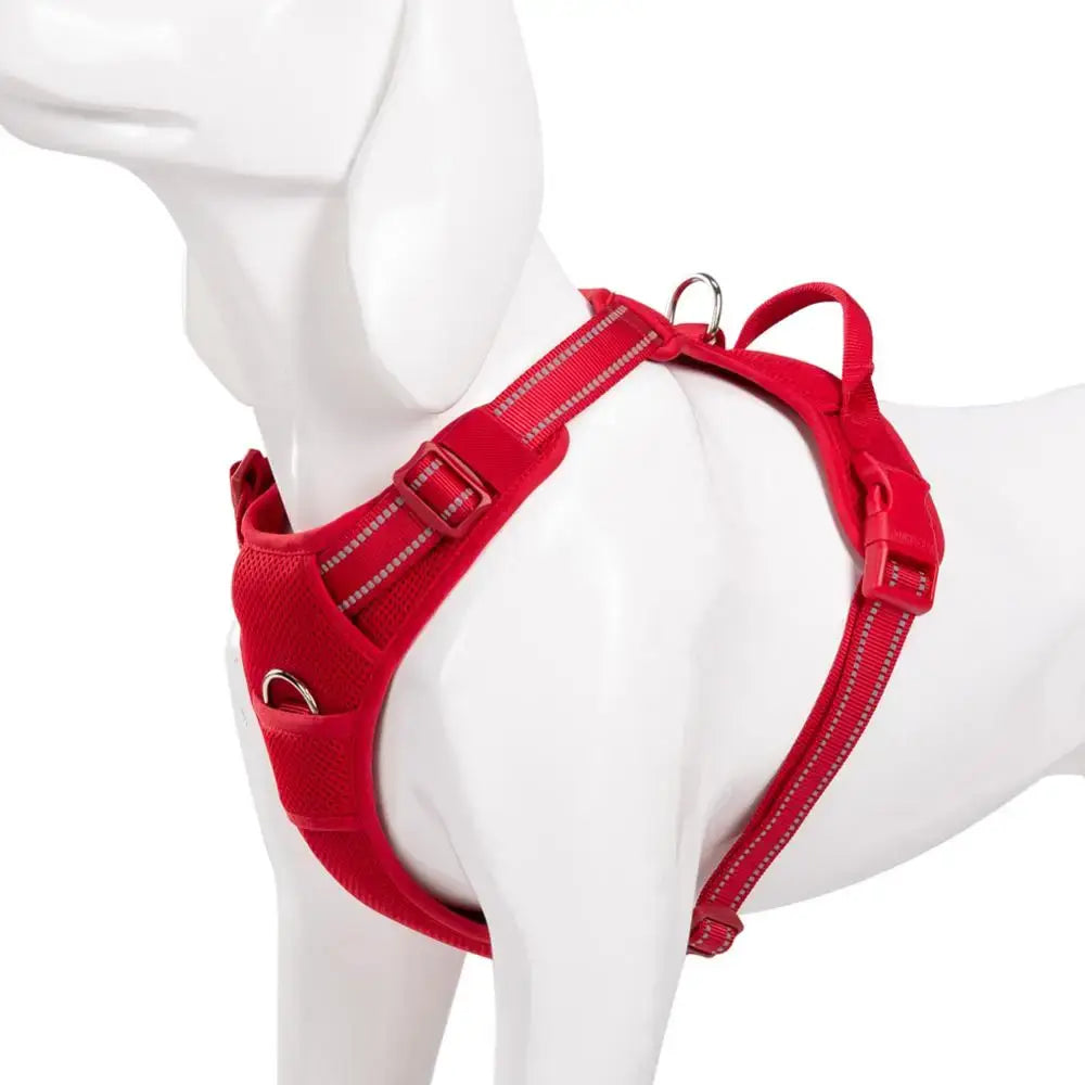 Harnais réfléchissant en nylon pour animaux