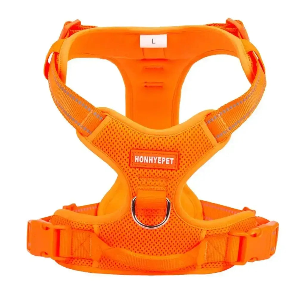 Harnais réfléchissant en nylon pour animaux - ORANGE / S / france