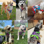 Harnais réfléchissant pour chien