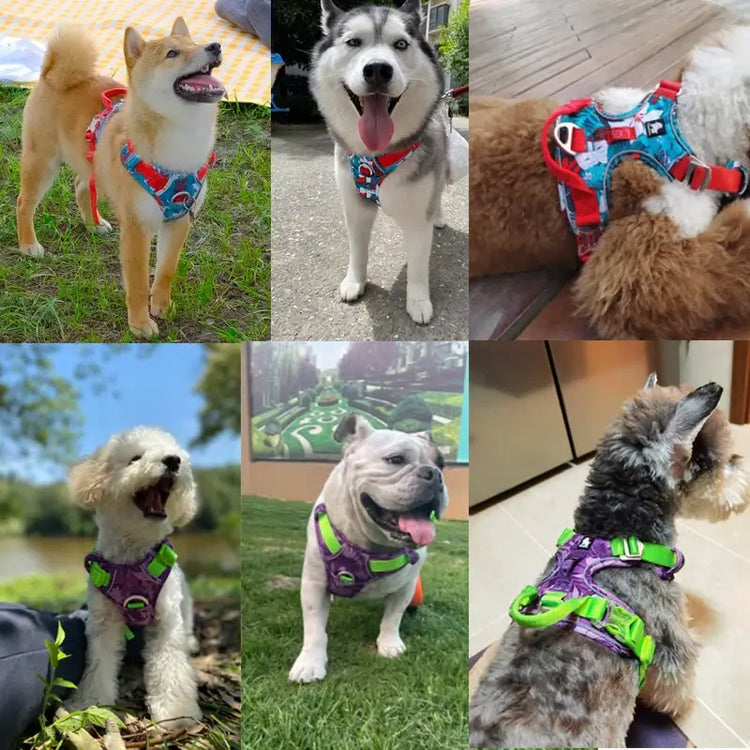 Harnais réfléchissant pour chien