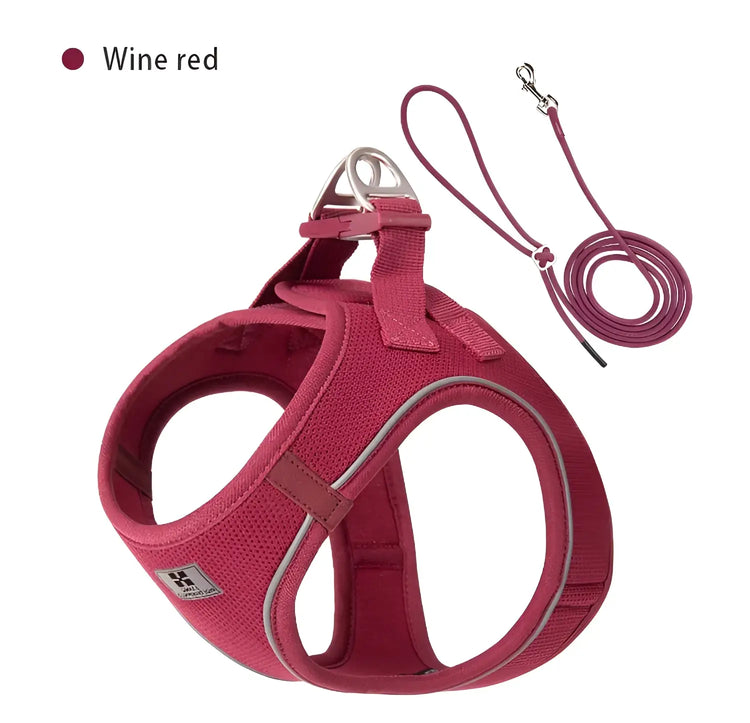Harnais réfléchissant réglable pour chien - Wine red / XS
