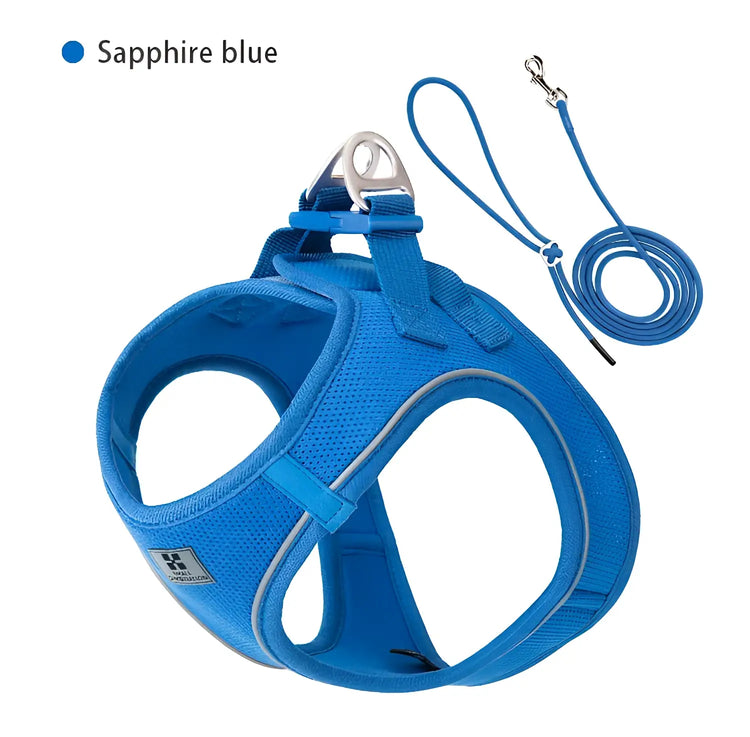 Harnais réfléchissant réglable pour chien - blue / XXXS