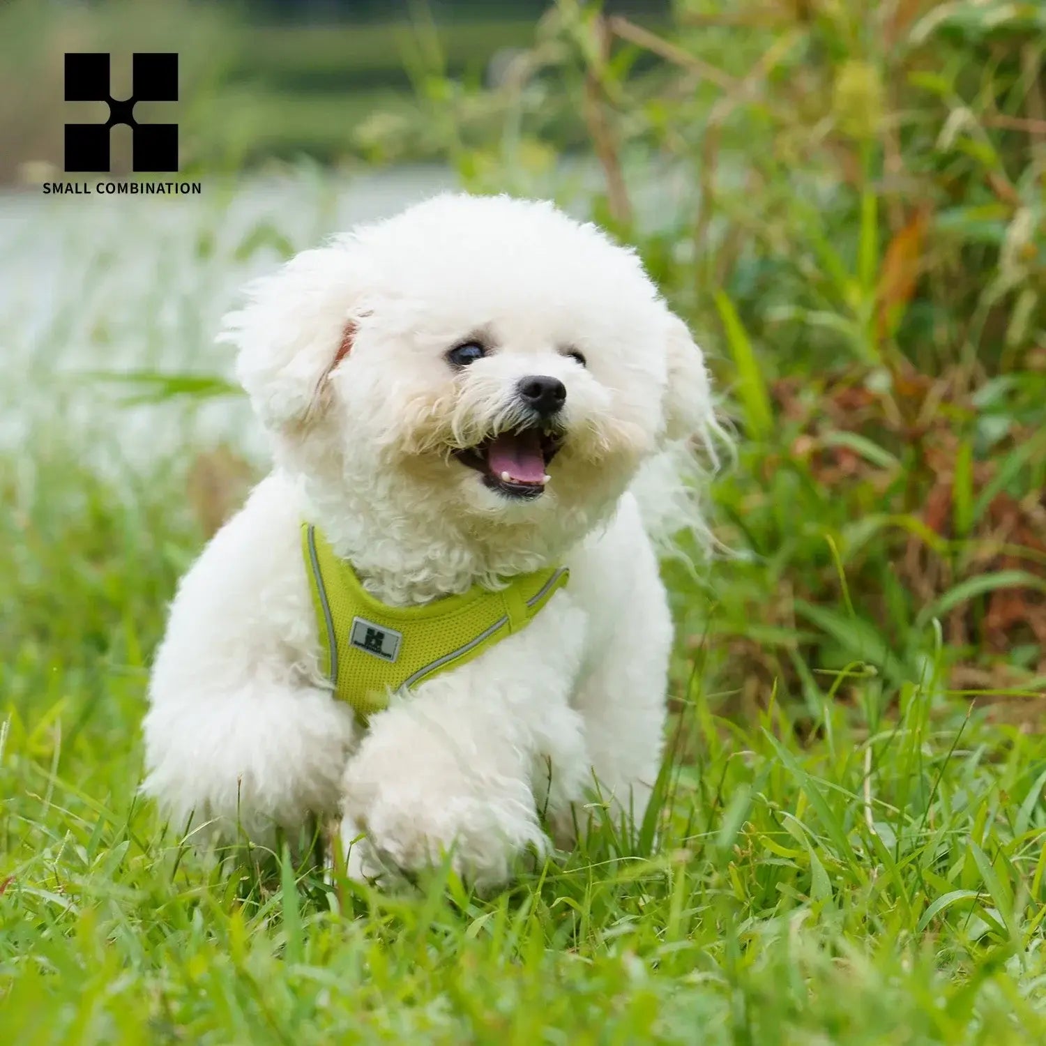 Adjustable Reflective Harness for Dog - Wine Red / XS — XS sqm, Wine red, 0.2 kg — photo 6