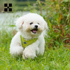 Harnais réfléchissant réglable pour chien