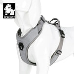 Harnais réfléchissant Truelove pour chien - Gray / M-Chest 56-69in / france