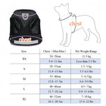 Harnais réglable pour chien et chat