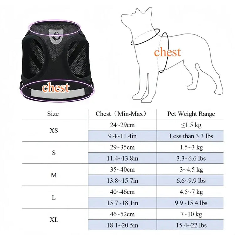 Harnais réglable pour chien et chat