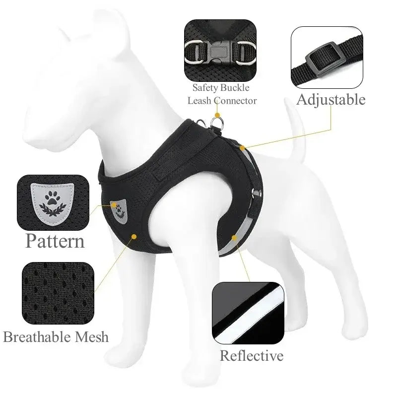 Harnais réglable pour chien et chat