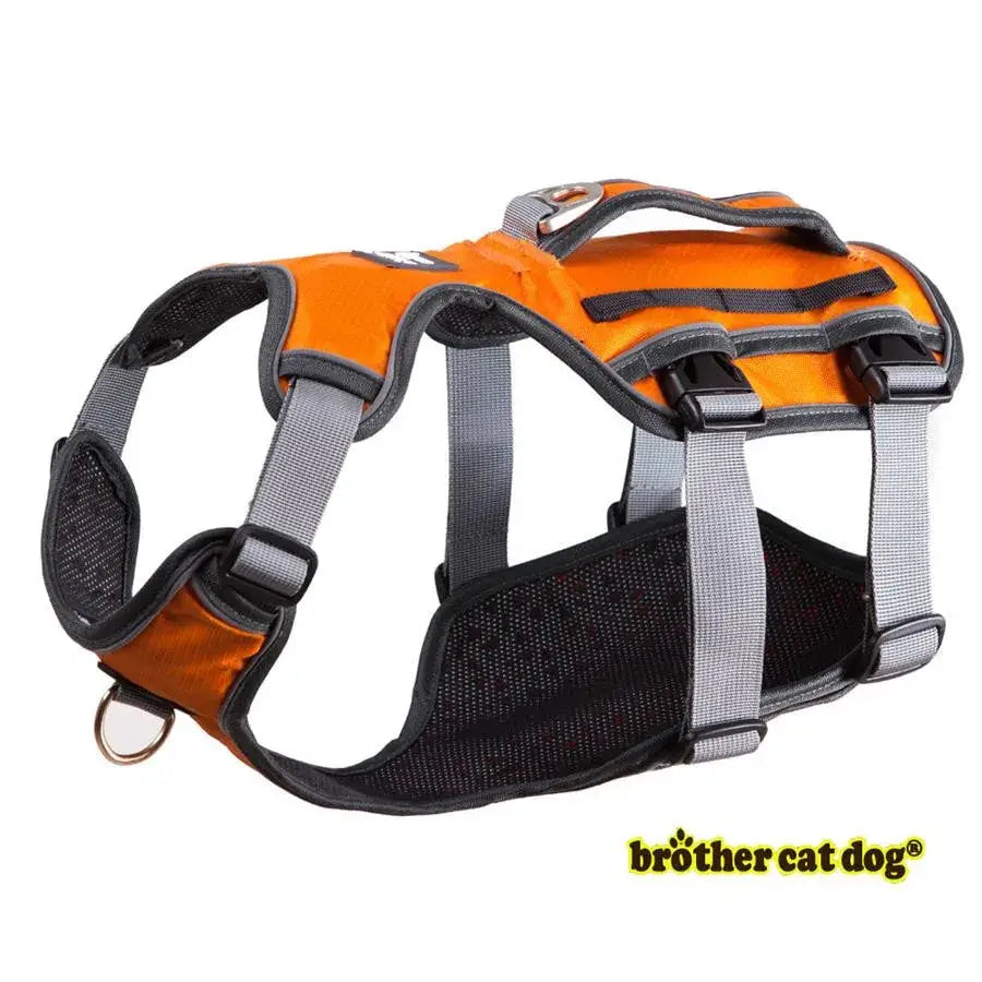 Harnais réglable pour chiens - orange / M