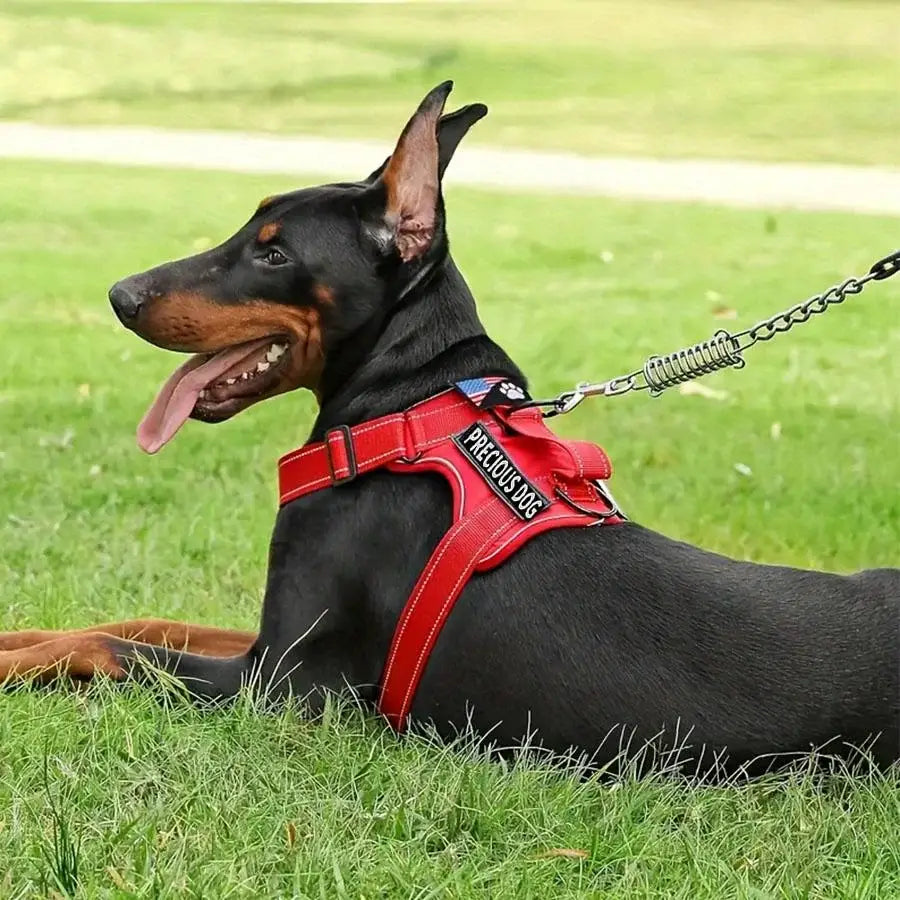 Harnais souple Oxford pour animaux de compagnie
