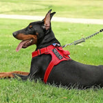 Harnais souple Oxford pour animaux de compagnie