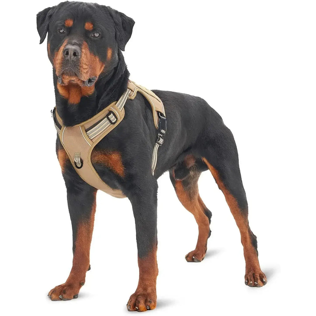 Harnais tactique confortable pour chien
