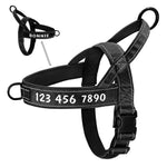 Harnais tactique militaire pour chien - black / S