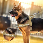 Harnais tactique militaire pour chien