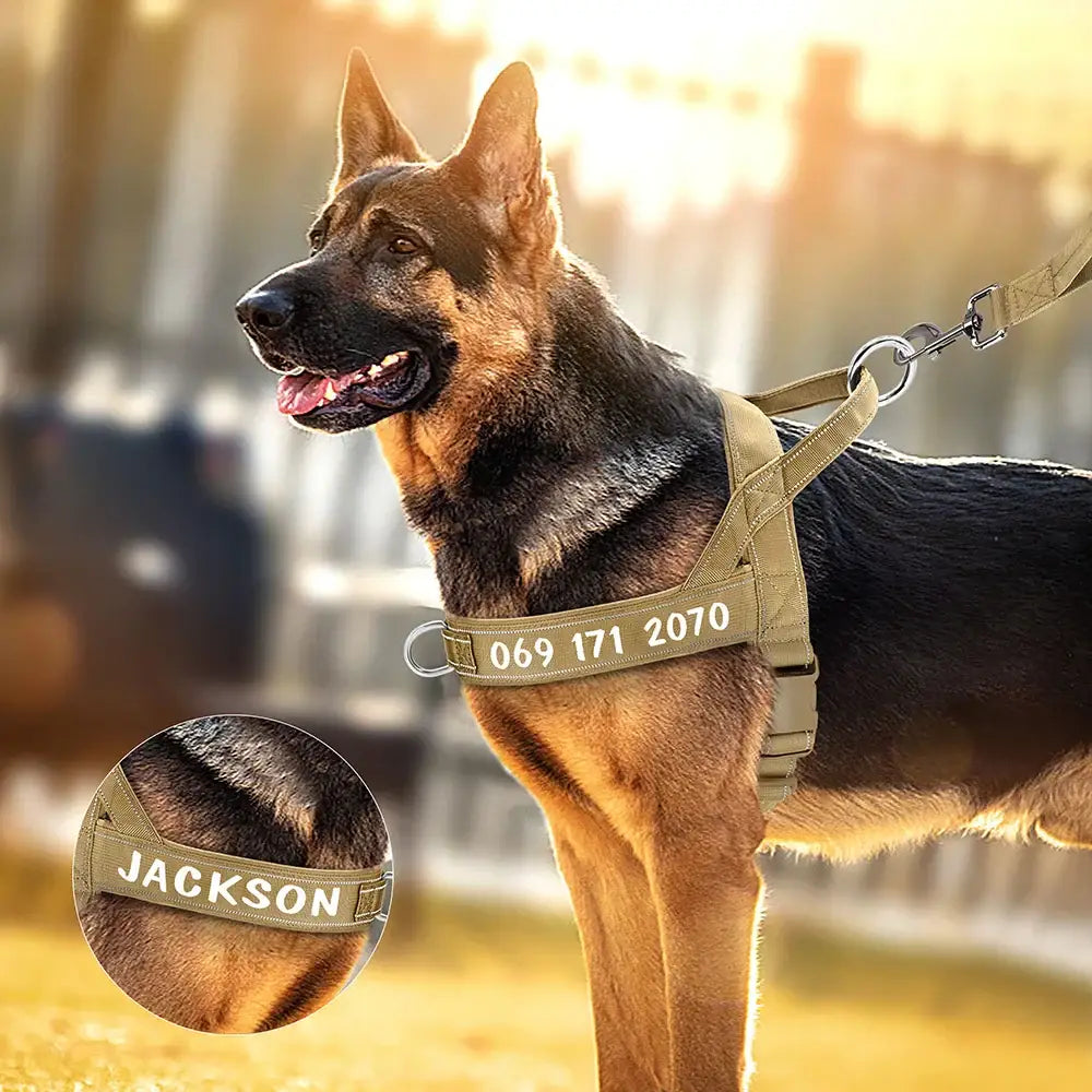 Harnais tactique militaire pour chien