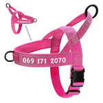 Harnais tactique militaire pour chien - Rose / XL
