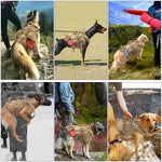 Harnais tactique pour chien