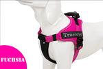 Harnais pour chien Truelove - Fuchsia / XS / China Mainland