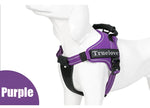Harnais pour chien Truelove - Purple / XL / China Mainland