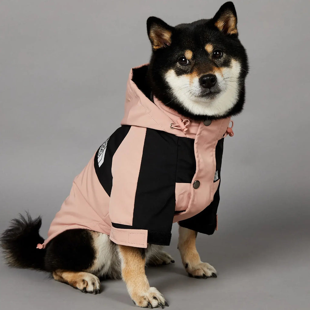 Imperméable d’hiver pour chien