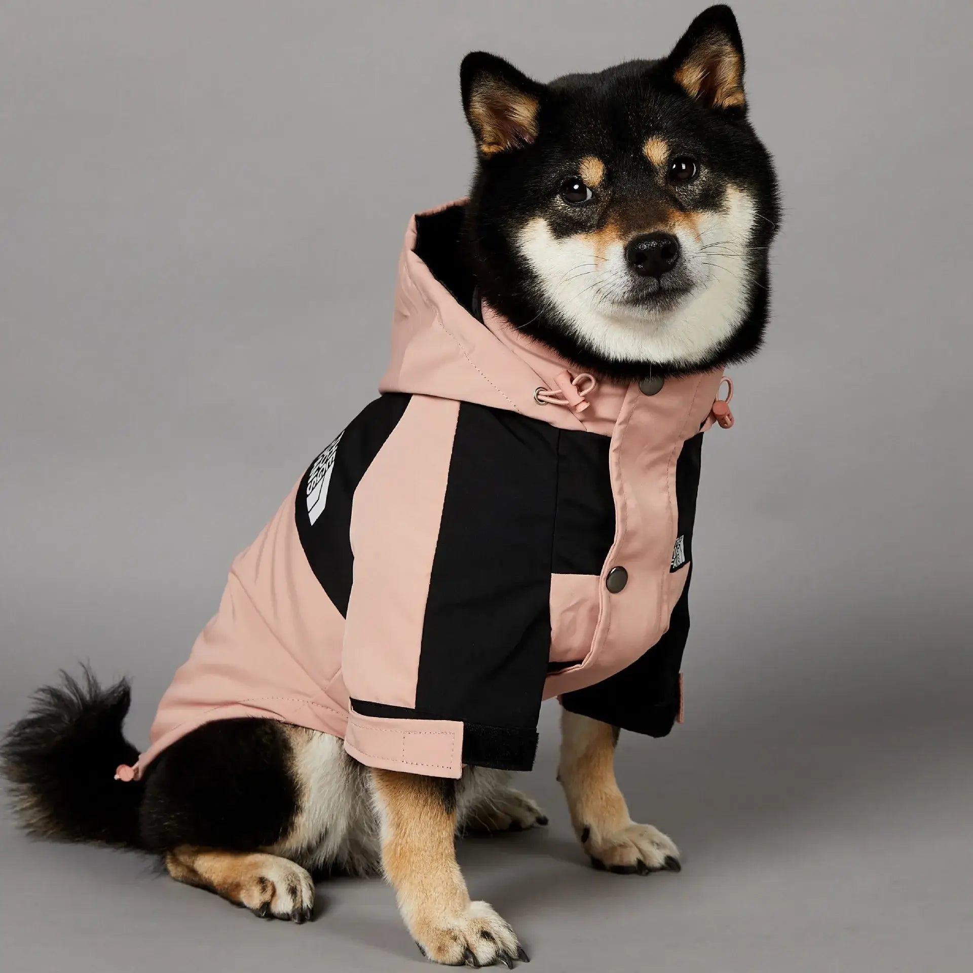 Imperméable d’hiver pour chien