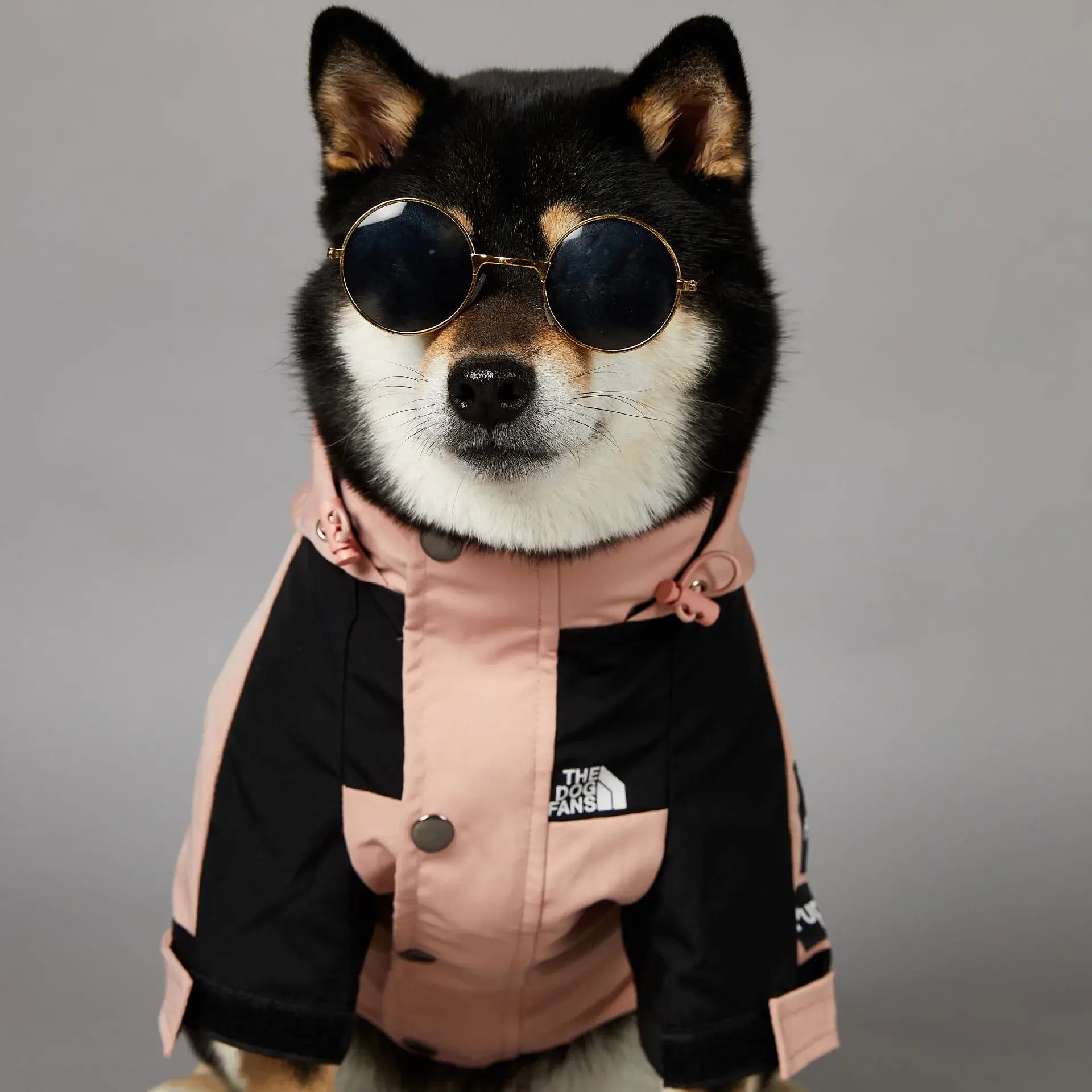 Imperméable d’hiver pour chien