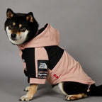 Imperméable d’hiver pour chien