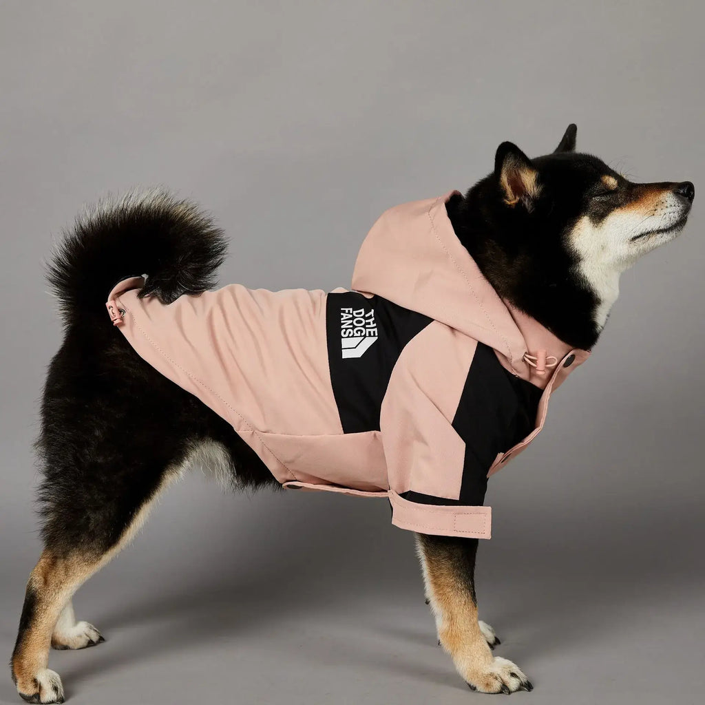 Imperméable d’hiver pour chien