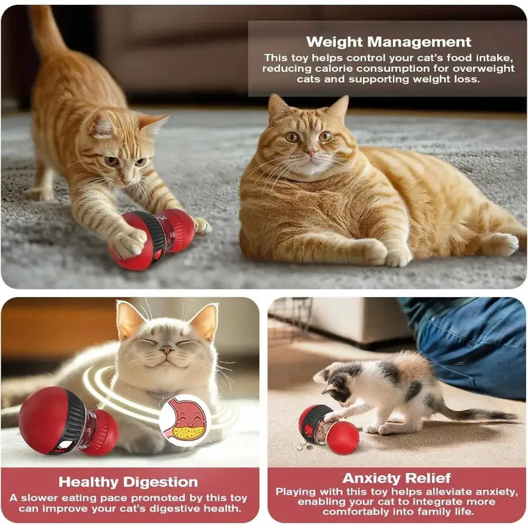 Interactive Cat Feeder Rotating Outlet Puzzle Feeder for Cats Small Dogs Mental Stimulation Exercise Toy for Pets Slow