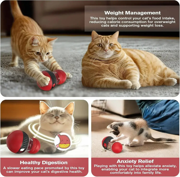 Interactive Cat Feeder Rotating Outlet Puzzle Feeder for Cats Small Dogs Mental Stimulation Exercise Toy for Pets Slow