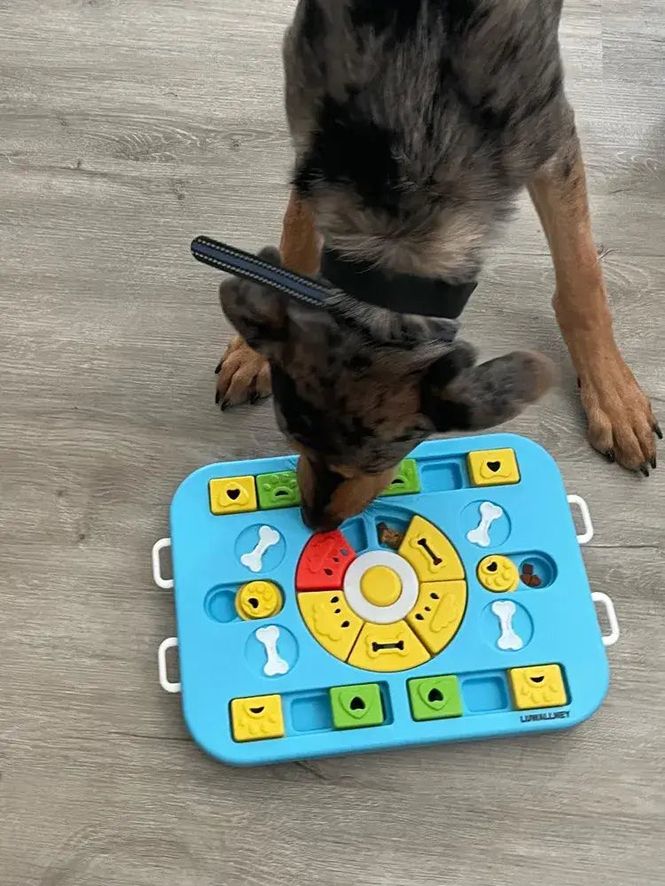 Interactive Dog Puzzle Toy for Large Medium Small Dogs and Cats 4 Ways to Play Slow Feeder Promotes Digestion Easy to
