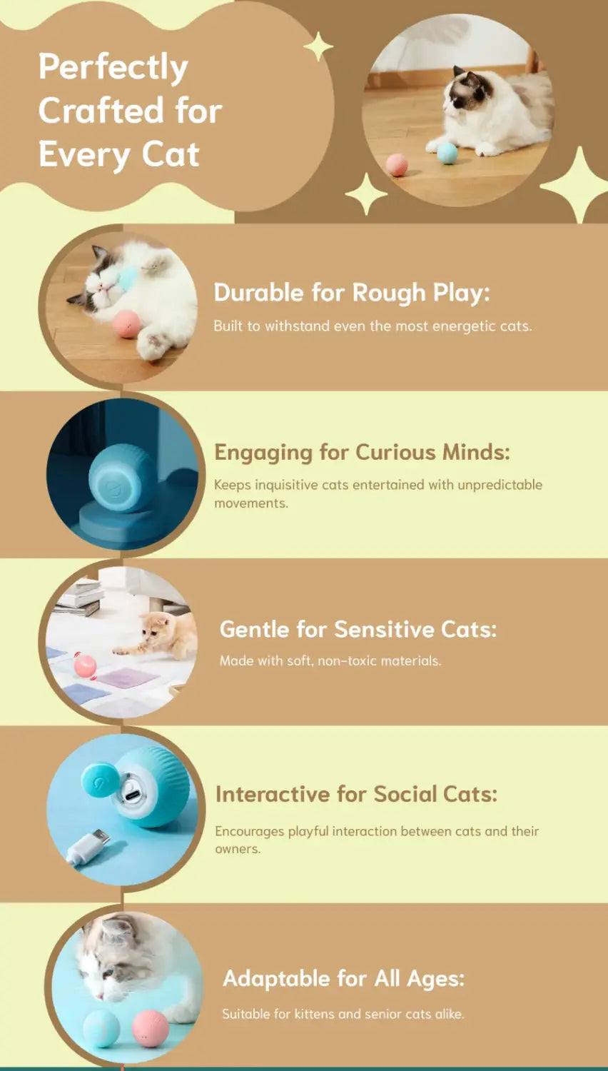 jouet électronique pour chat