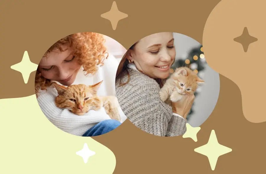 illustration chaleureuse de deux femmes tenant des chats orange dans un article sur un nouveau gadget pour propriétaires de chats