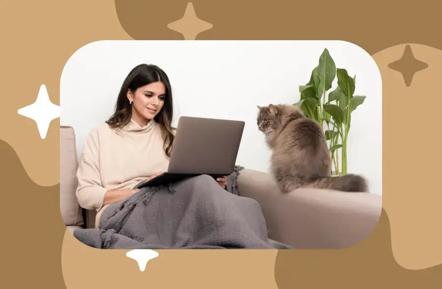 jouet électronique pour chat