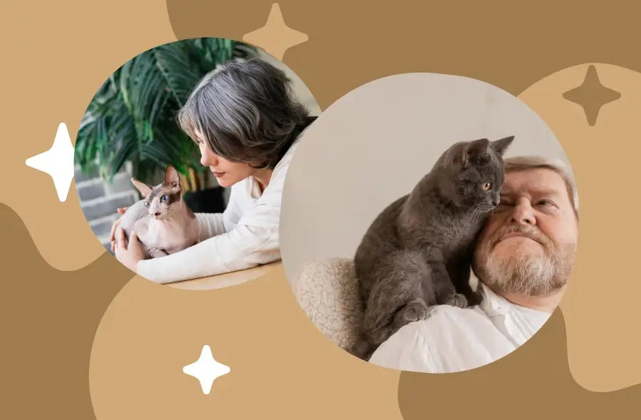 jouet électronique pour chat