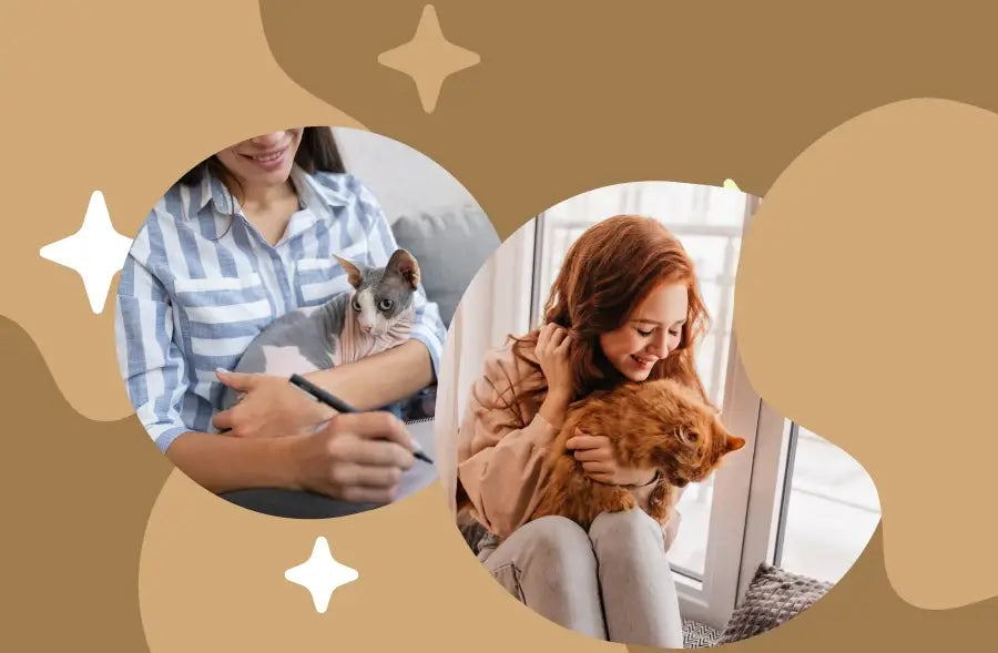 jouet électronique pour chat