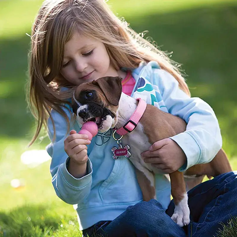 Jouet à mâcher naturel pour chien résistant PawFrance